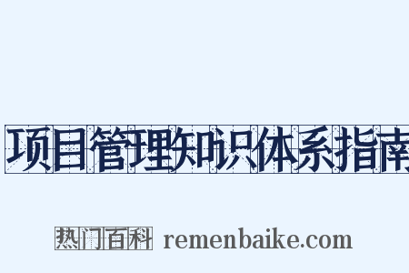 项目管理知识体系指南是什么意思的图片